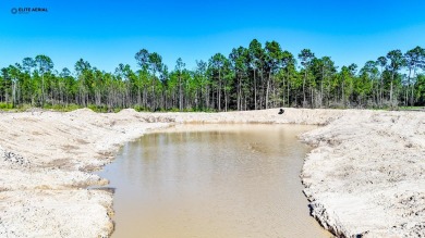 (private lake, pond, creek) Acreage For Sale in Jasper Texas