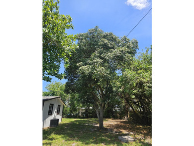 Nicely presented 4 bedroom & 2 bath Home on extra large fenced - photo 22