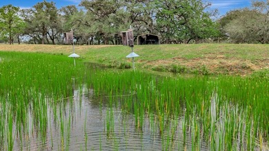 Rare opportunity to own open pasture & wooded ranchland w/ - photo 30