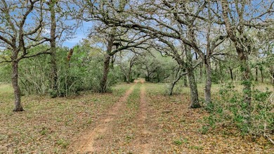 Rare opportunity to own open pasture & wooded ranchland w/ - photo 34