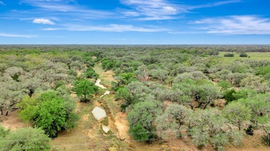 Rare opportunity to own open pasture & wooded ranchland w/ - photo 50