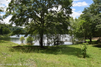 Lake Lot Off Market in Houston, Alabama