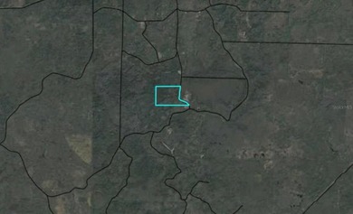 Discover 100 acres of secluded timberland off Max Road in - photo 2