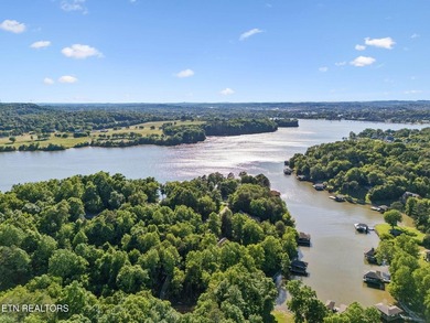 Tucked into a private cove on Fort Loudon Lake just off the main - photo 45