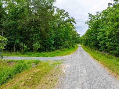 Country Living with Freedom & Convenience on 2.5 +/- - photo 46