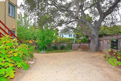 Welcome Home to this classic North Berkeley condo, where - photo 49