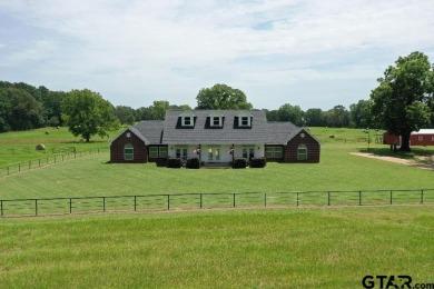 (private lake, pond, creek) Home For Sale in Pittsburg Texas