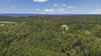 Lake Acreage For Sale in Brookeland, Texas