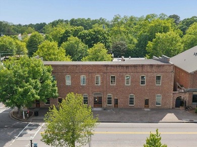 Charming downtown Madison condo located directly across from - photo 30