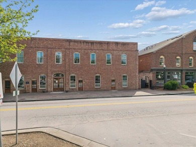 Charming downtown Madison condo located directly across from - photo 33