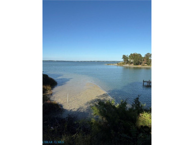Waterfront Charm on Meachim Creek - Welcome to 810 Long Point - photo 34