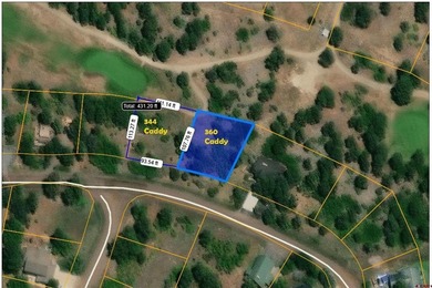 Pinon Lake Lot For Sale in Pagosa Springs Colorado