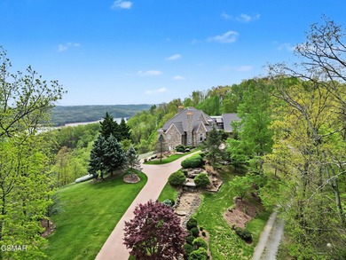 This French Country beauty sits on 9.1 acres with unreal views - photo 4