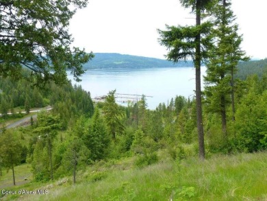 Lake Lot For Sale in Harrison, Idaho