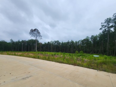 Lake Sam Rayburn  Lot For Sale in Jasper Texas