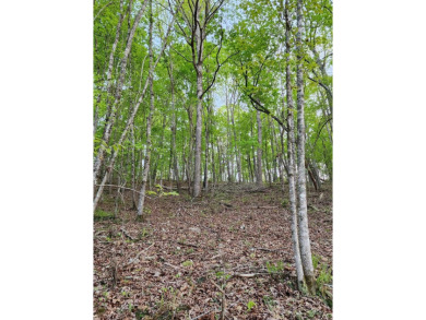 Lake Acreage For Sale in Birchwood, Tennessee