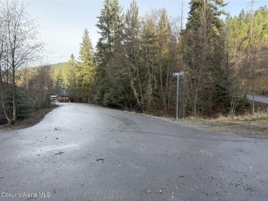 Lake Lot Sale Pending in Harrison, Idaho