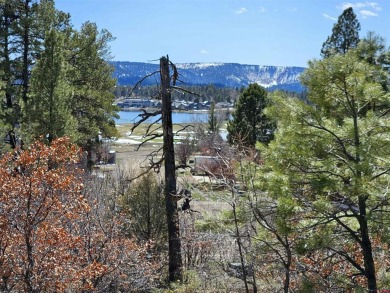 Pinon Lake Lot For Sale in Pagosa Springs Colorado