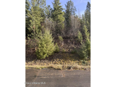 Lake Lot For Sale in Harrison, Idaho