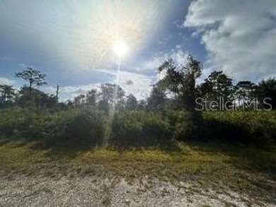 Lake Weohyakapka Lot For Sale in Indian Lake Estates Florida