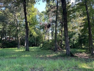 Toledo Bend Lake Lot For Sale in Hemphill Texas