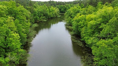 Tucked inside the gated community of Waterford at Lay Lake, this - photo 12