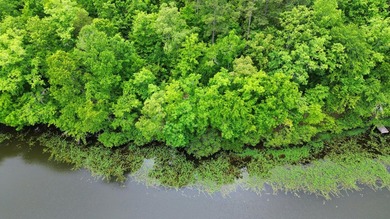 Tucked inside the gated community of Waterford at Lay Lake, this - photo 21