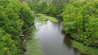 Tucked inside the gated community of Waterford at Lay Lake, this - photo 22