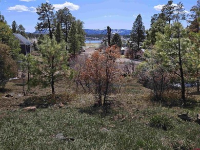 Pinon Lake Lot For Sale in Pagosa Springs Colorado