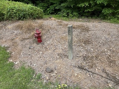 Tucked inside the gated community of Waterford at Lay Lake, this - photo 42