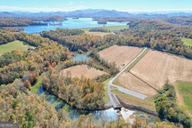 Lake Lot For Sale in Hayesville, North Carolina