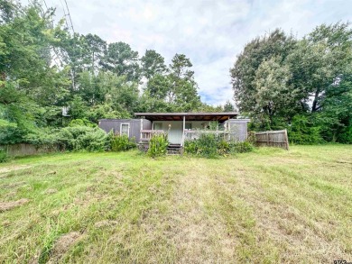 Lake Home For Sale in Chandler, Texas