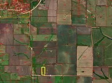 Nice row crop farm! all usable except for the pond area. Also - photo 3