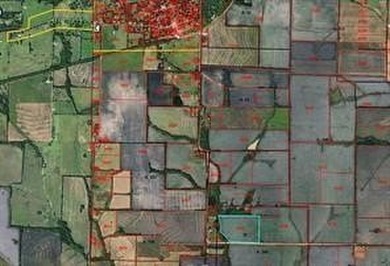 Nice row crop farm! all usable except for the pond area. Also - photo 5