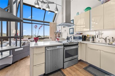 Amazing, one of a kind 2 bedroom 2 bath penthouse with washer - photo 8
