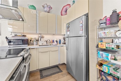 Amazing, one of a kind 2 bedroom 2 bath penthouse with washer - photo 9