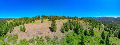 Breathtaking panoramic lake and mountain views await from this - photo 11