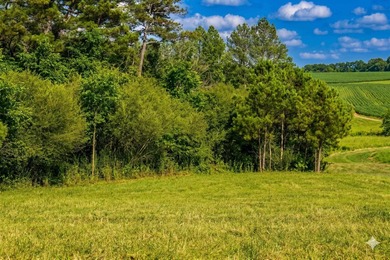 Prime, unrestricted 9 acre (+/-) property, located directly - photo 13