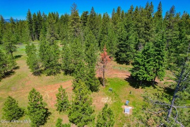 Breathtaking panoramic lake and mountain views await from this - photo 18