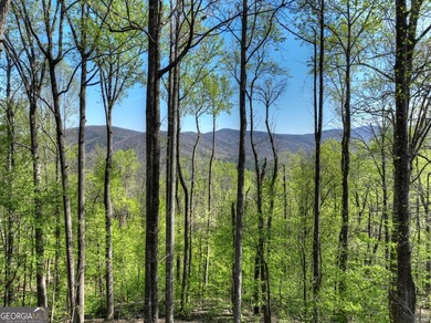 ~Long range mountain view log home perched on top of Walnut - photo 40
