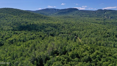 Oven Mountain Pond Lot For Sale in North Creek New York