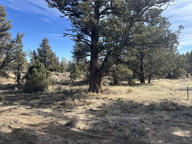 Prineville Reservoir Lot For Sale in Prineville Oregon