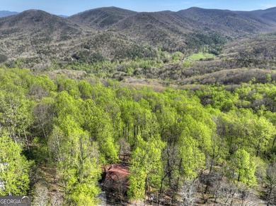 ~Long range mountain view log home perched on top of Walnut - photo 48
