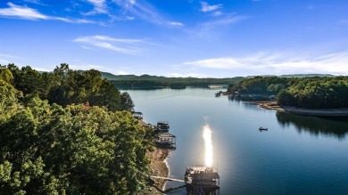 Lake Blue Ridge Acreage For Sale in Morganton Georgia