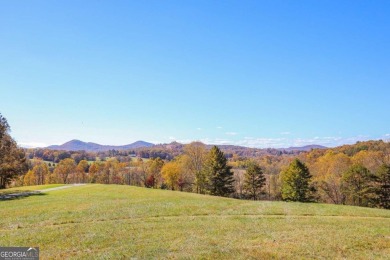 Lake Acreage For Sale in Hayesville, North Carolina