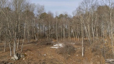 Great opportunity with 4.44 acres in Newport offering scenic - photo 15
