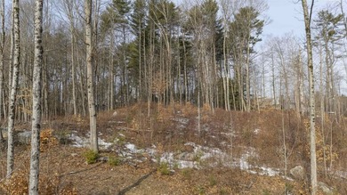 Great opportunity with 4.44 acres in Newport offering scenic - photo 16