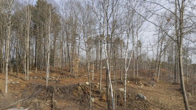 Great opportunity with 4.44 acres in Newport offering scenic - photo 17