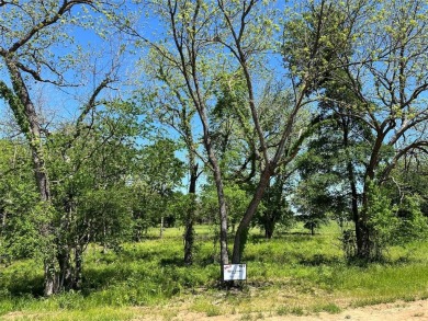Lake Lot For Sale in Dodd City, Texas