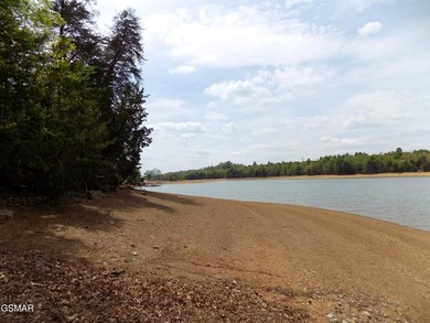 Experience Lakeside Luxury on Cherokee Lake. Discover your own - photo 8